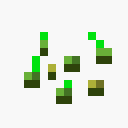 Семена пшеницы — предмет Minecraft