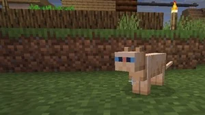 Кот в Minecraft — питомец, который пугает криперов и фантомов