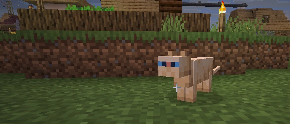 Кот в Minecraft — питомец, который пугает криперов и фантомов
