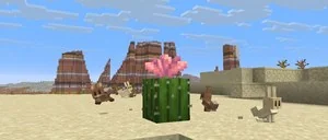 Minecraft 26.1.2 Release Candidate 1 — официальный баннер обновления